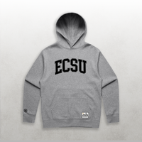 HBCU Varsity Elizabeth City State Pullover Hoodie