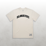 HBCU Varsity Delaware State Tee