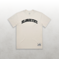 HBCU Varsity Delaware State Tee