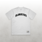 HBCU Varsity Delaware State Tee