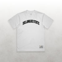 HBCU Varsity Delaware State Tee