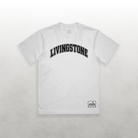 HBCU Varsity Livingstone College Tee